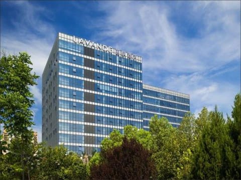 Property view