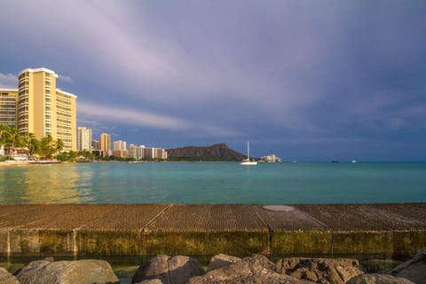 The Equus Hotel in Honolulu