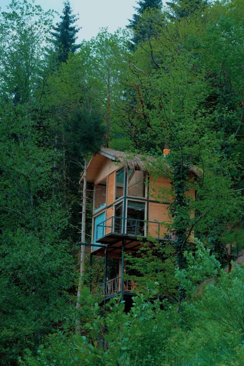 Exterior view
