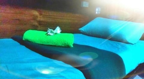 Czone Hostel Hostel in Ko Tao