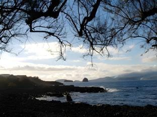 Surrounding environment