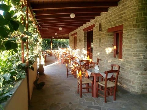 Hotel Neos Matala Hotel in Crete