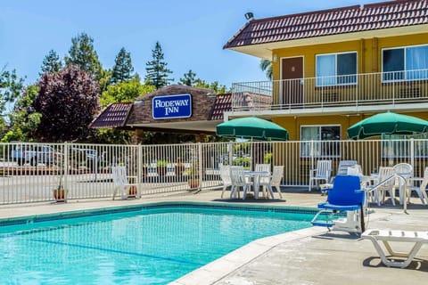 Swimming pool [outdoor]