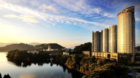Property view