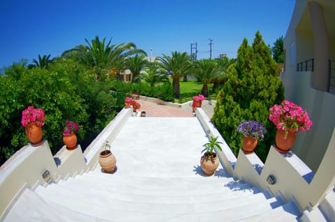 Eleftheria Hotel Hotel in Crete