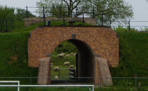 Nearby attraction
