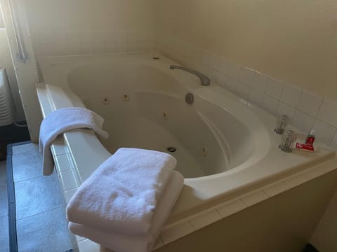 Econo Lodge Kalamazoo near Wings Stadium Hotel in Kalamazoo