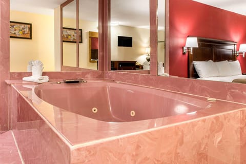 Econo Lodge Holland - Toledo Hotel in Holland