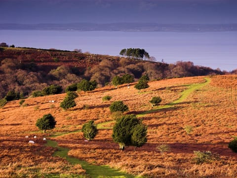 The Hood Arms Inn in West Somerset District