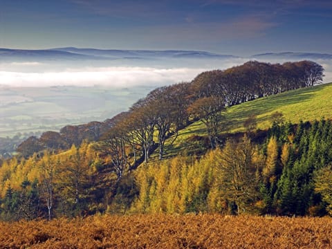 The Hood Arms Inn in West Somerset District