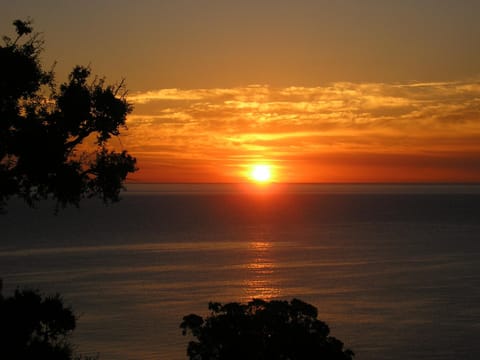 La Côte Bleue Resort in Zonza