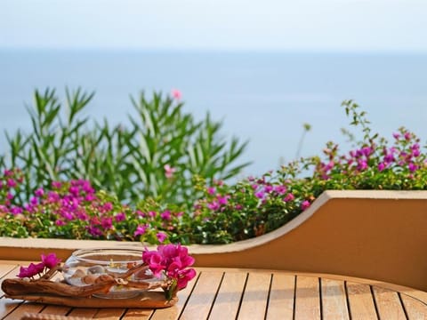 La Côte Bleue Resort in Zonza