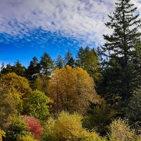 The White Stag Inn in Strathyre