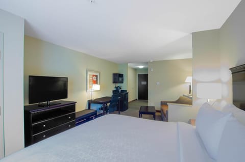 Comfort Suites Mobile-South Alabama University Area Hotel in Mobile