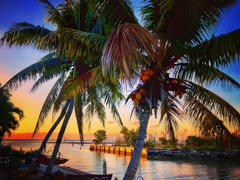 Siesta Motel Marathon Motel in Marathon