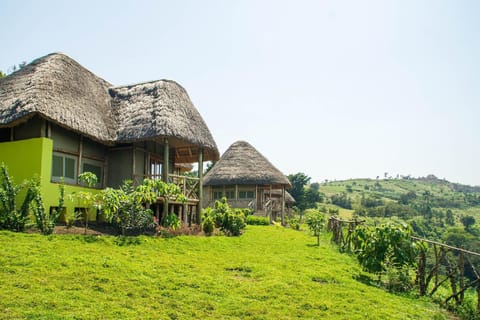 Exterior view