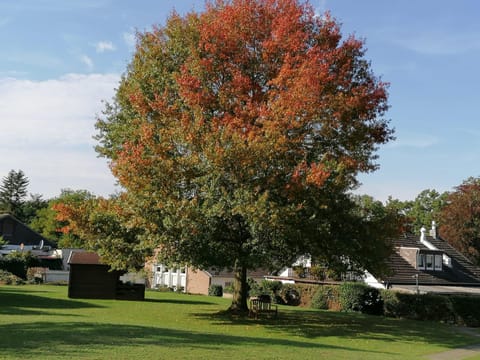 Hotel Haus Hildegard Hotel in Limburg (province)