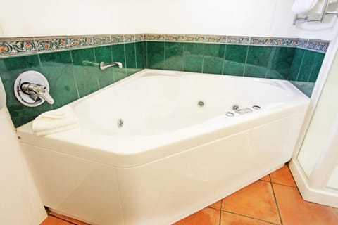 Anglesea Motel Motel in Hamilton