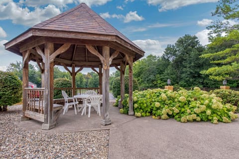 Comfort Suites Lafayette University Area Hotel in Lafayette