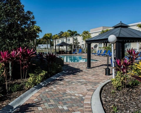 Swimming pool [outdoor]