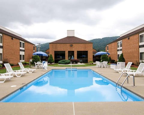 Swimming pool [outdoor]