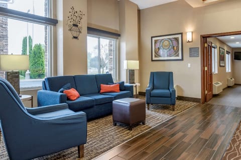 Comfort Inn & Suites Dimondale - Lansing Hotel in Lansing
