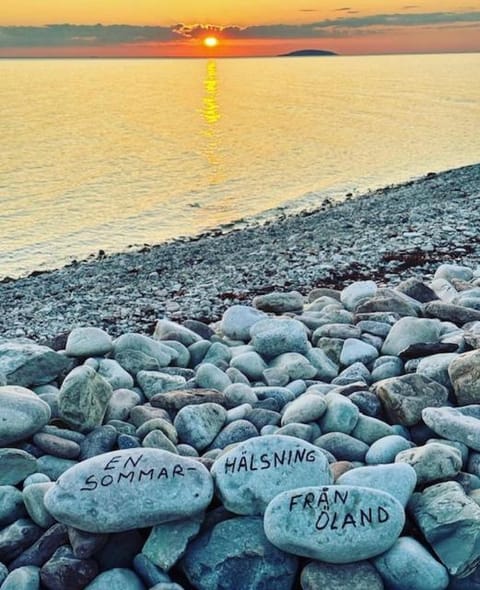 Alvaret Hotel & Hostel Hotel in Kalmar County, Sweden