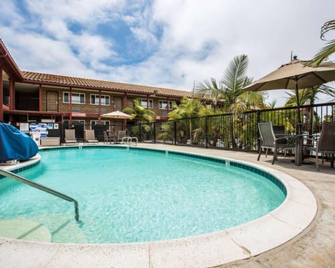 Swimming pool [outdoor]