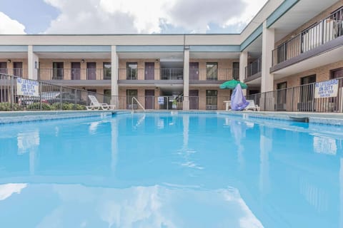 Swimming pool [outdoor]