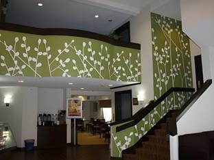 Sleep Inn at Greenville Convention Center Hotel in Greenville