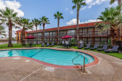 Swimming pool [outdoor]