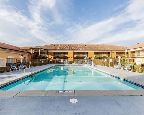 Swimming pool [outdoor]