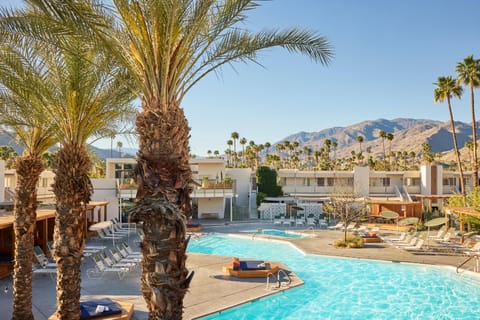 Swimming pool [outdoor]