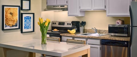 Sonesta ES Suites Ann Arbor Hotel in Ann Arbor