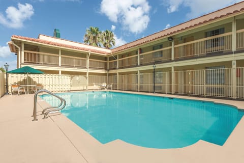 Swimming pool [outdoor]