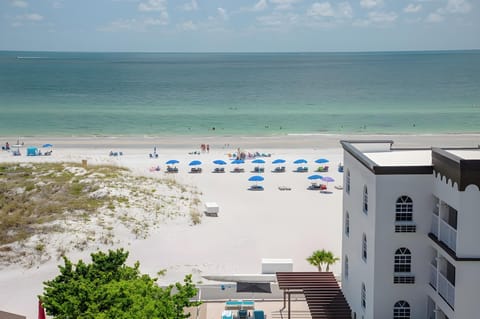 Barefoot Beach Club Hotel in Madeira Beach