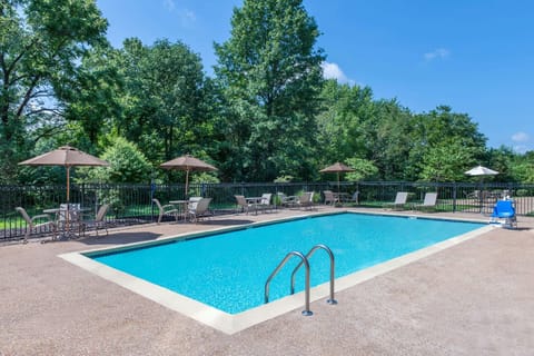 Swimming pool [outdoor]