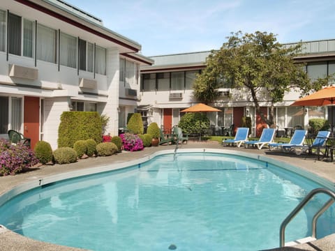 Swimming pool [outdoor]