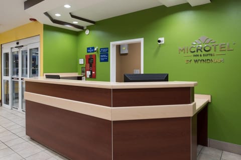 Microtel Inn & Suites by Wyndham Rogers Hotel in Rogers