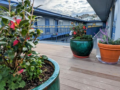 Signature Inn San Francisco Marina District Hotel in San Francisco