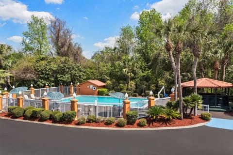 Swimming pool [outdoor]