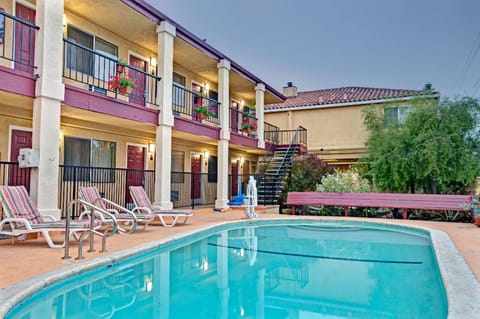 Swimming pool [outdoor]