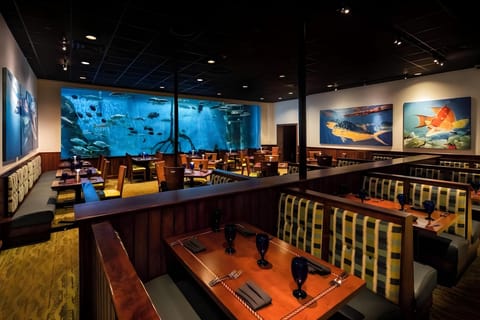 RumFish Beach at TradeWinds Resort in Saint Pete Beach