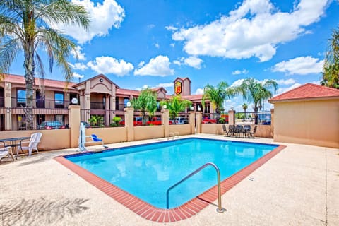 Swimming pool [outdoor]