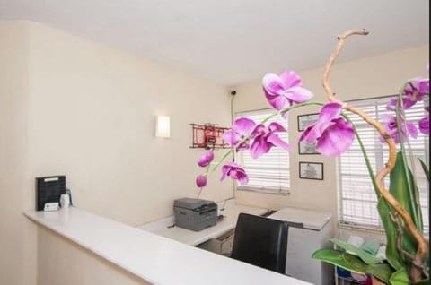 Island House South Beach Hotel in Flamingo Lummus