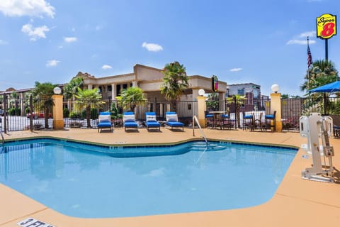 Swimming pool [outdoor]