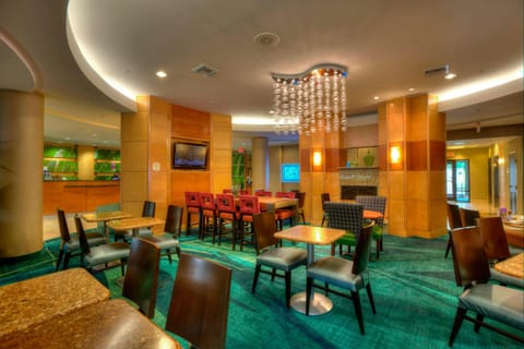 SpringHill Suites by Marriott Tampa Brandon Hotel in Brandon