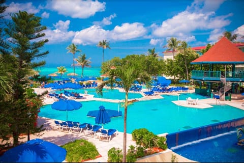 Swimming pool [outdoor]