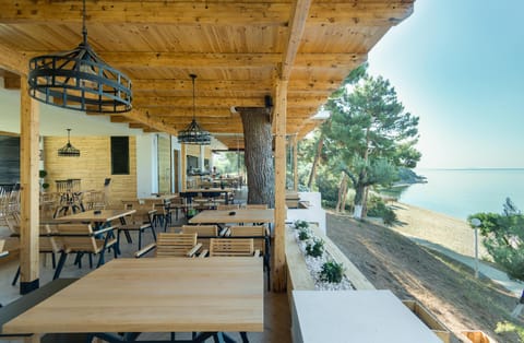 Trikorfo Beach. Apartment hotel in Halkidiki