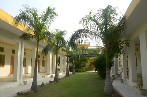 Exterior view